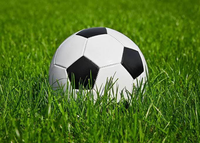 Soccer ball in grass