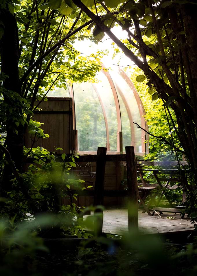 Bubble in nature