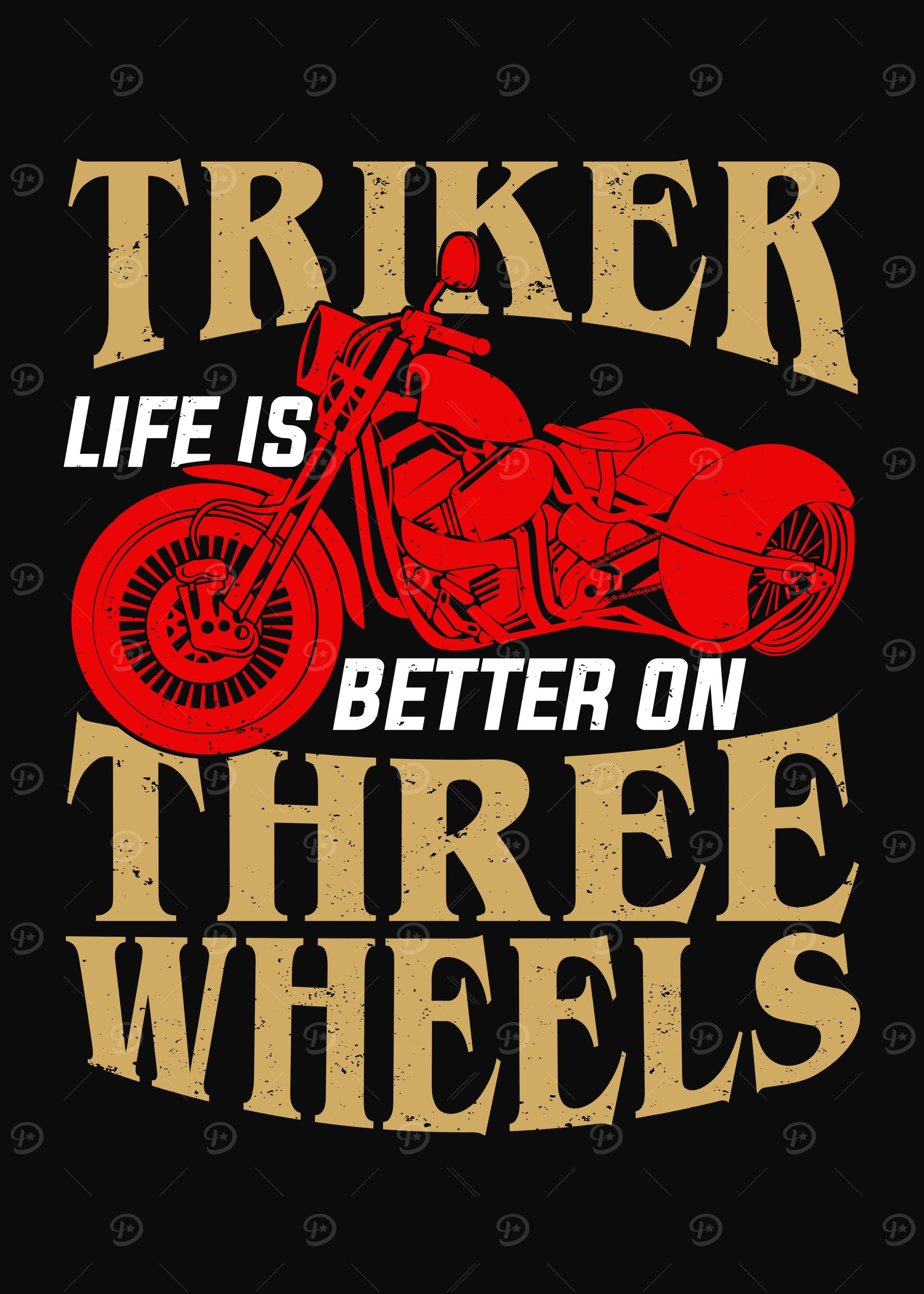 Trike Motorized Tricycle