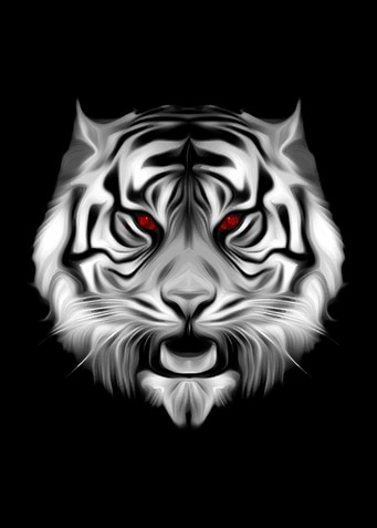 Black White Striped Tiger