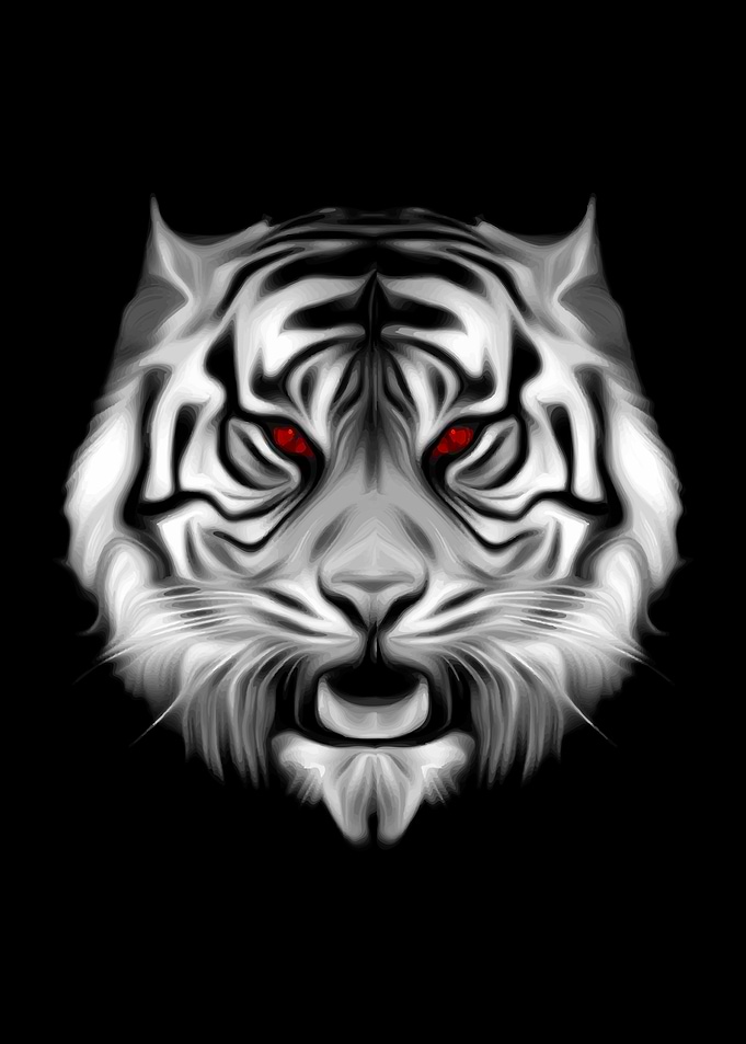 Black White Striped Tiger