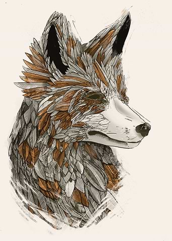 Feathered Fox