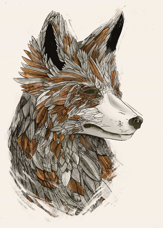 Feathered Fox