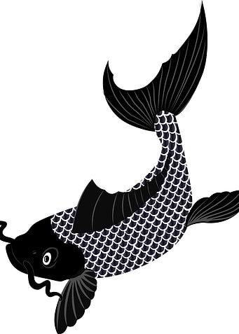 Koi minimalistic art