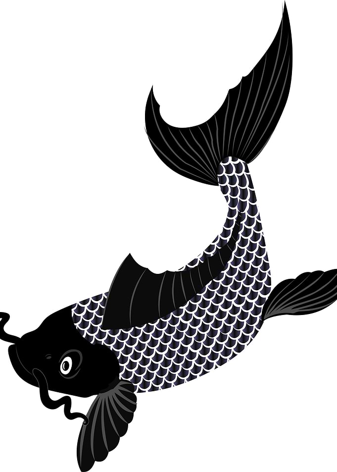 Koi minimalistic art