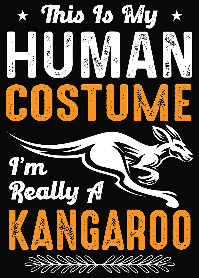 Kangaroos Kangaroo Outback