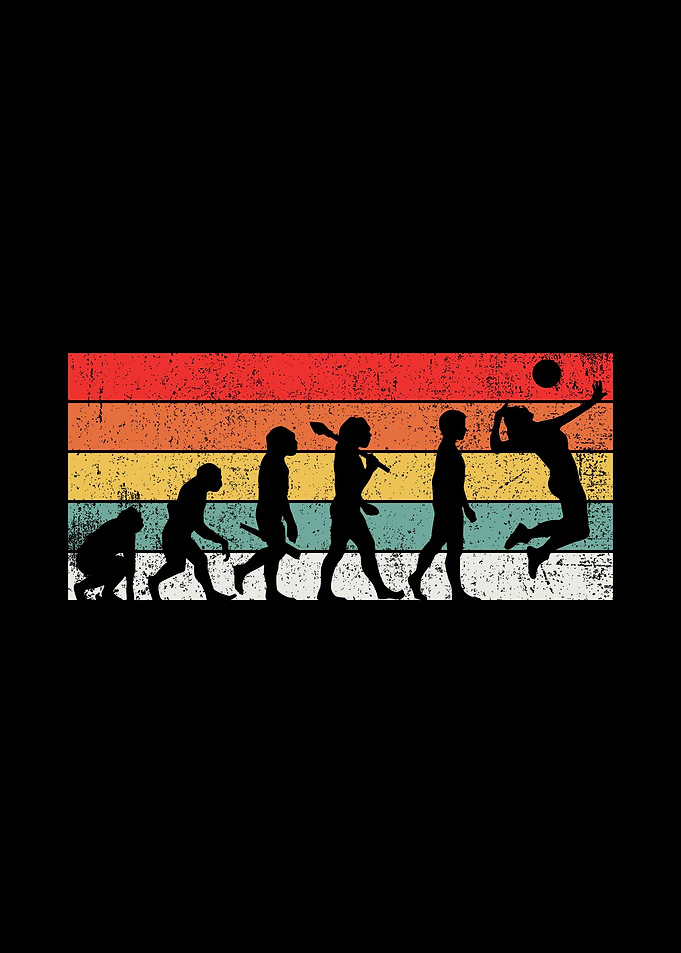 Volleyball Evolution