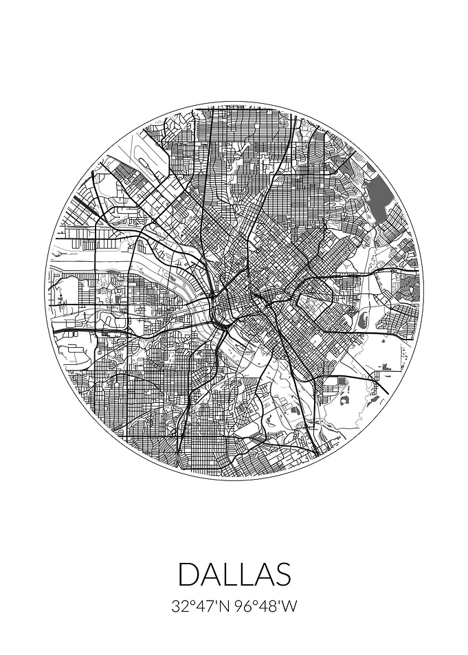 Dallas City Map White