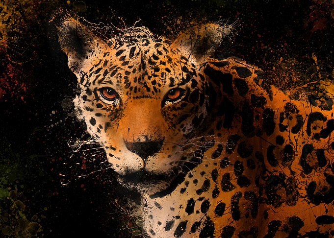 Jaguar Portrait