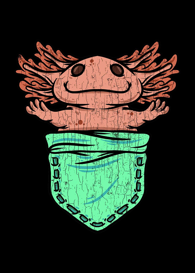 Cute Axolotl Funny Gift