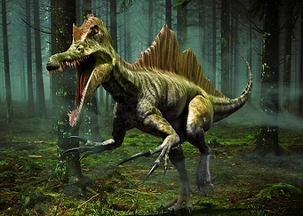 Dinosaurs Spinosaurus Art