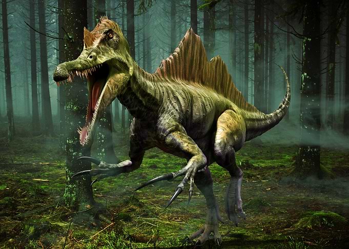 Dinosaurs Spinosaurus Art