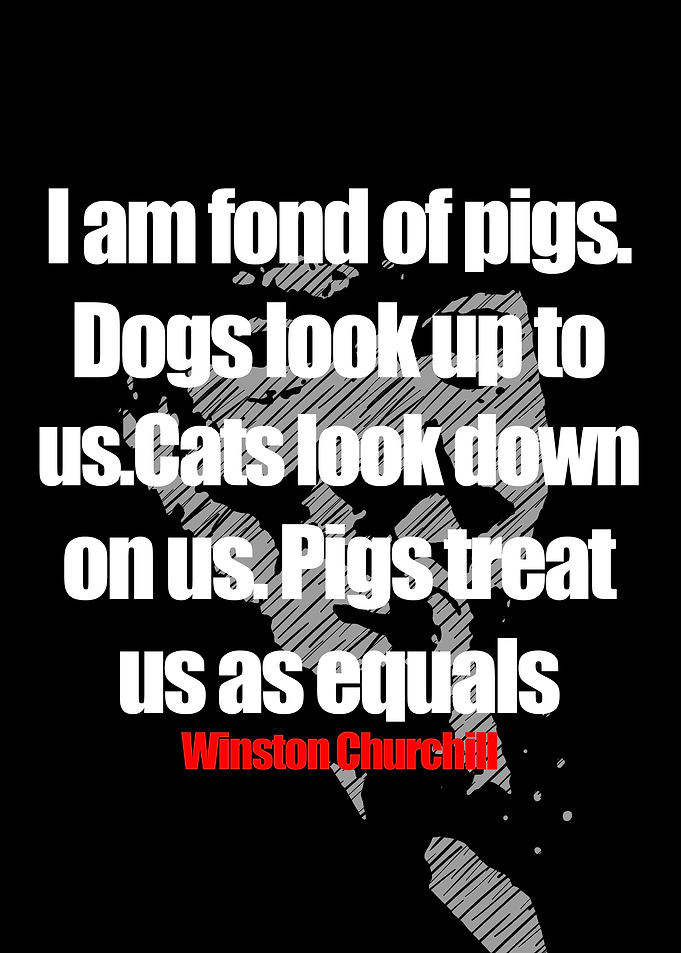 Winston Churchill Quotes