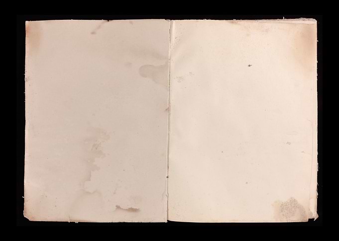 Book old open worn blank t