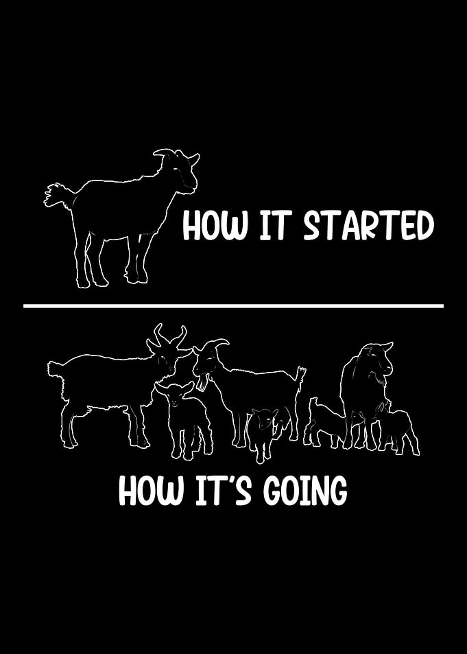 Goat Lover Farming Nature