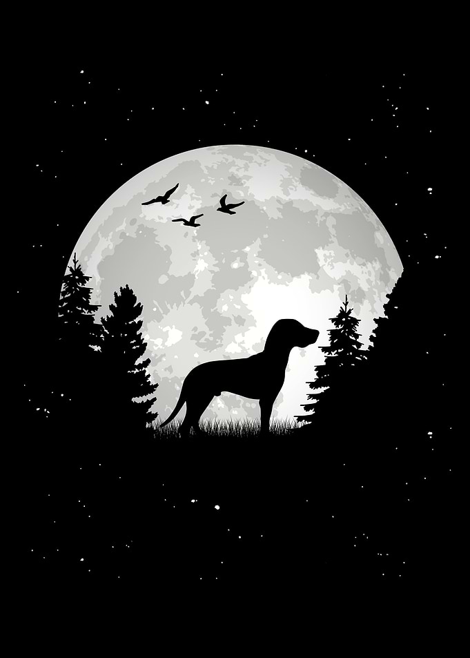 Magyar Vizsla Moon