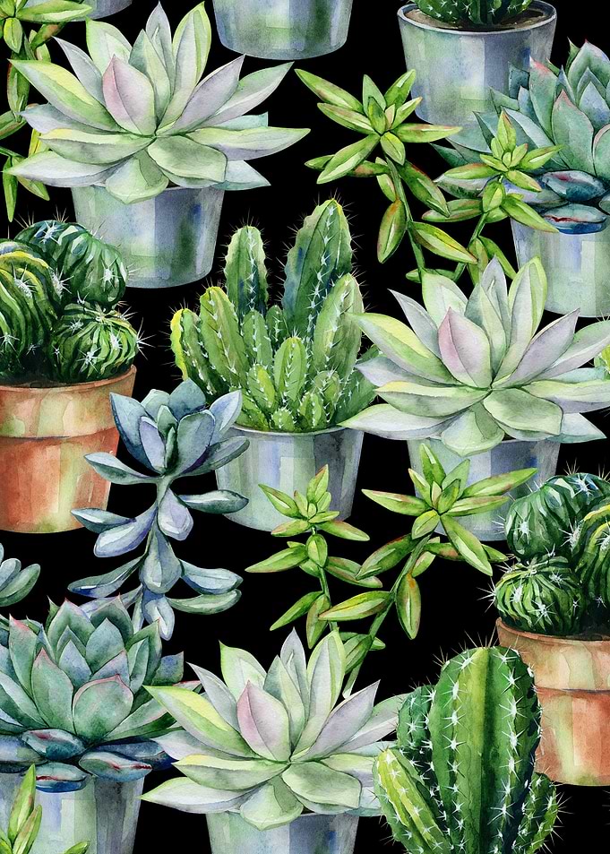 Black Succulent Pattern 02