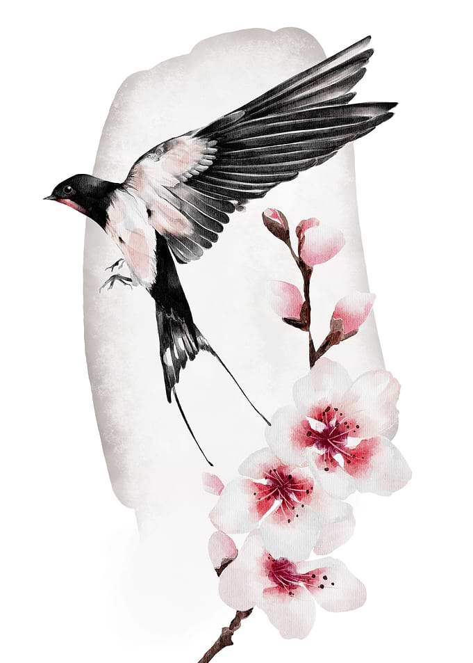 Japanese swallow cherry