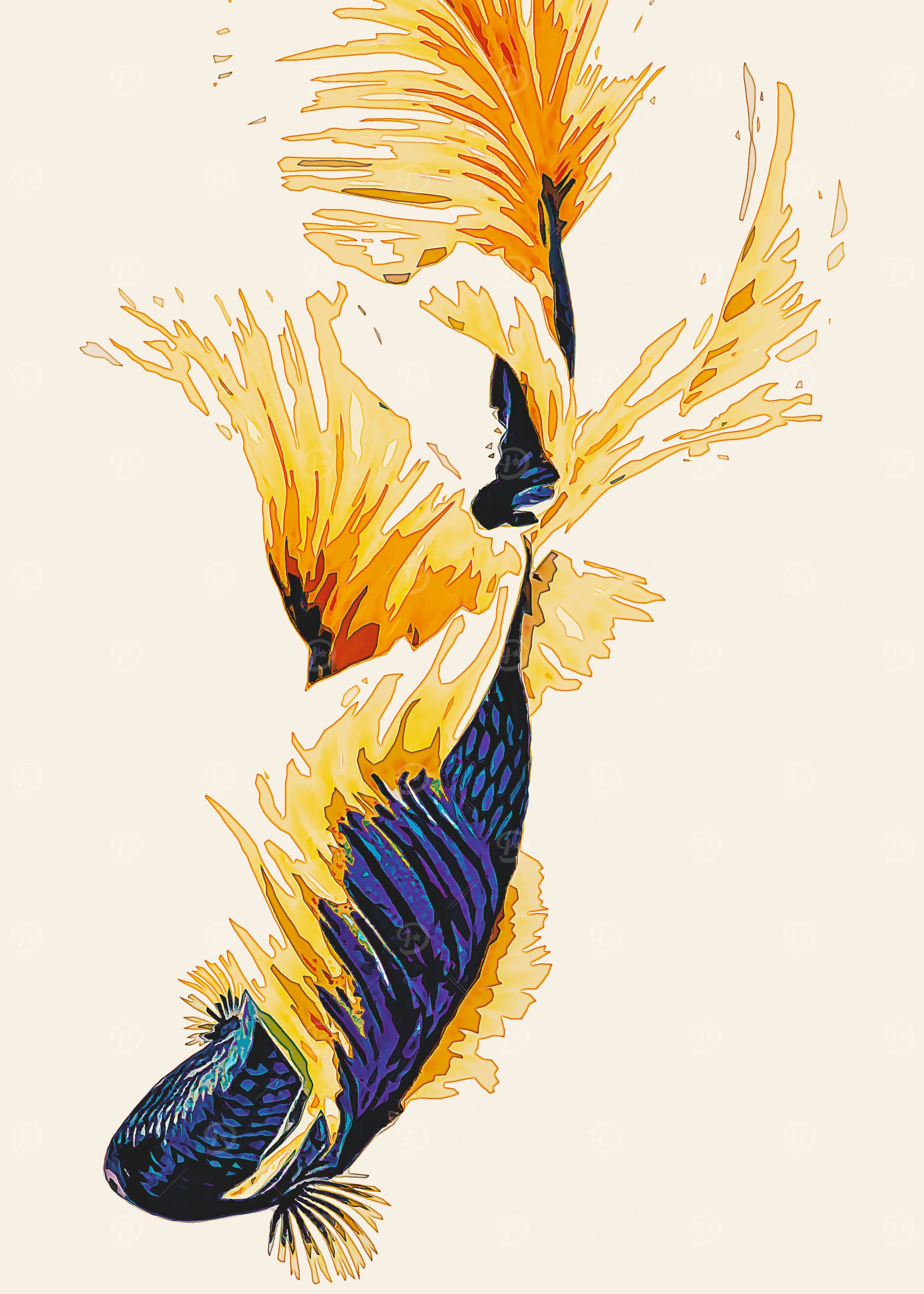 Single Betta Fish