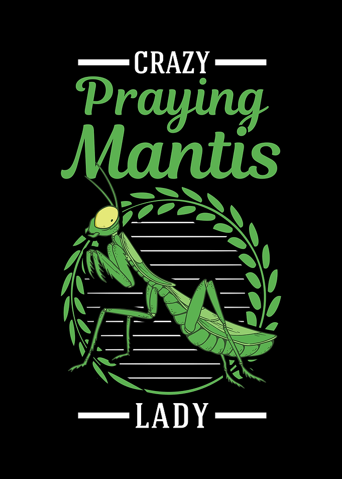 Crazy Praying Mantis Lady