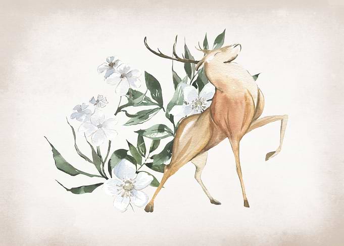 Floral Buck Nursery Art
