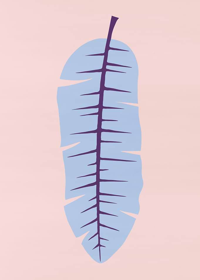 Tropical leaf 04