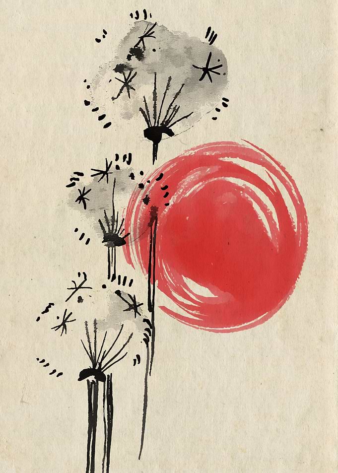 Dandelion in Sundown