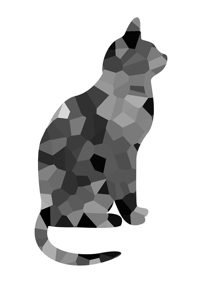 Cat Animal abstract