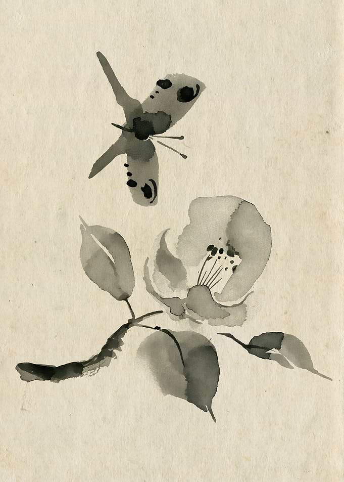 Blossom with butterfly