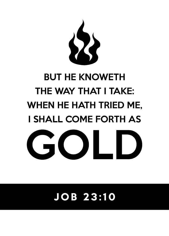 Job 23 10