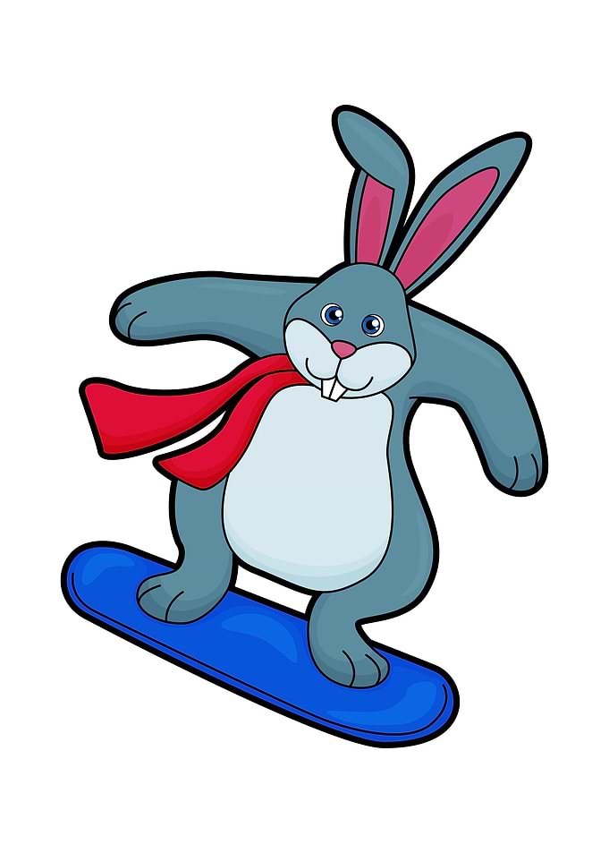 Rabbit Snowboard Sports