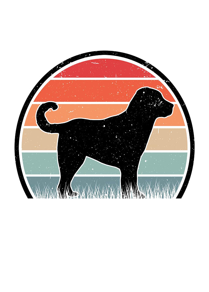 Kangal Retro Anatolian