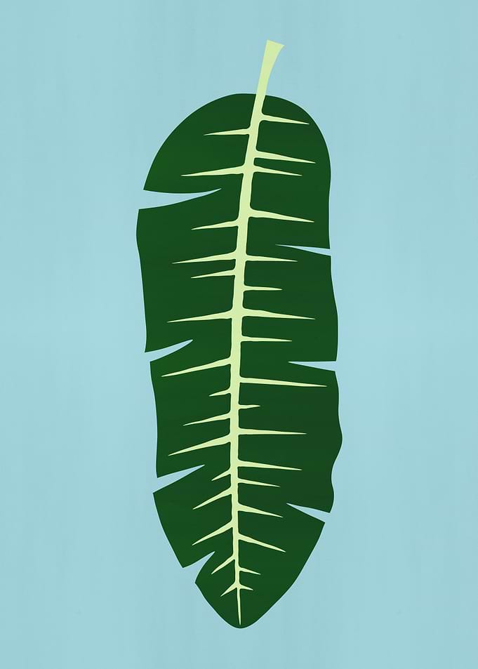 Tropical leaf 02