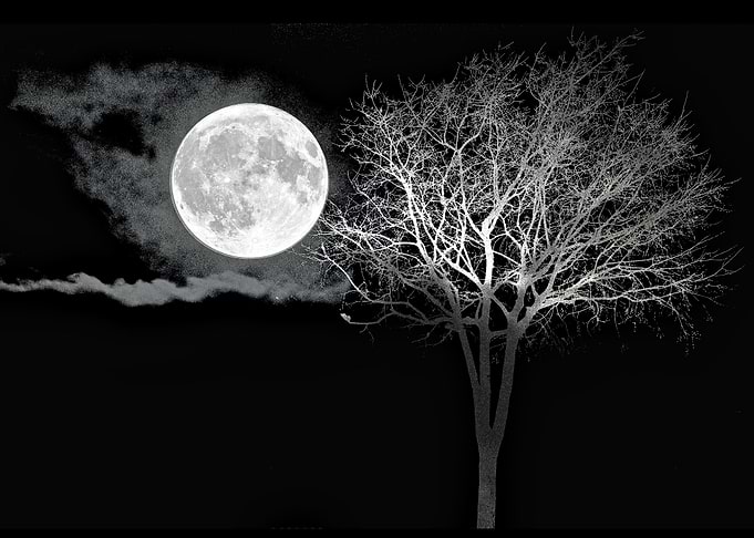 Full Moon Night Cloud Tree