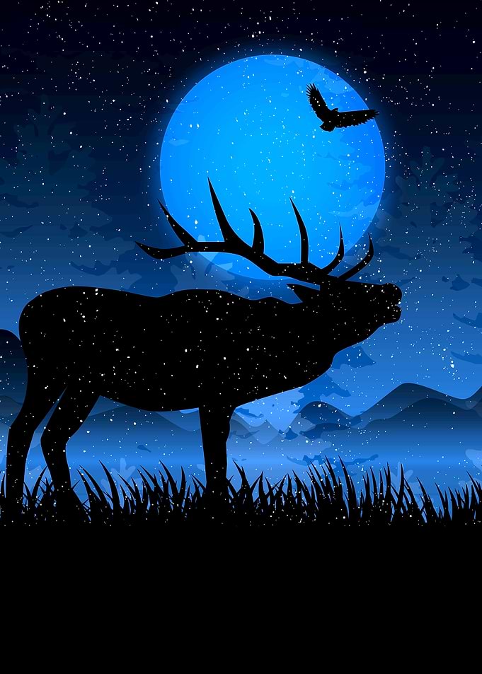 Winter Woodland Moose