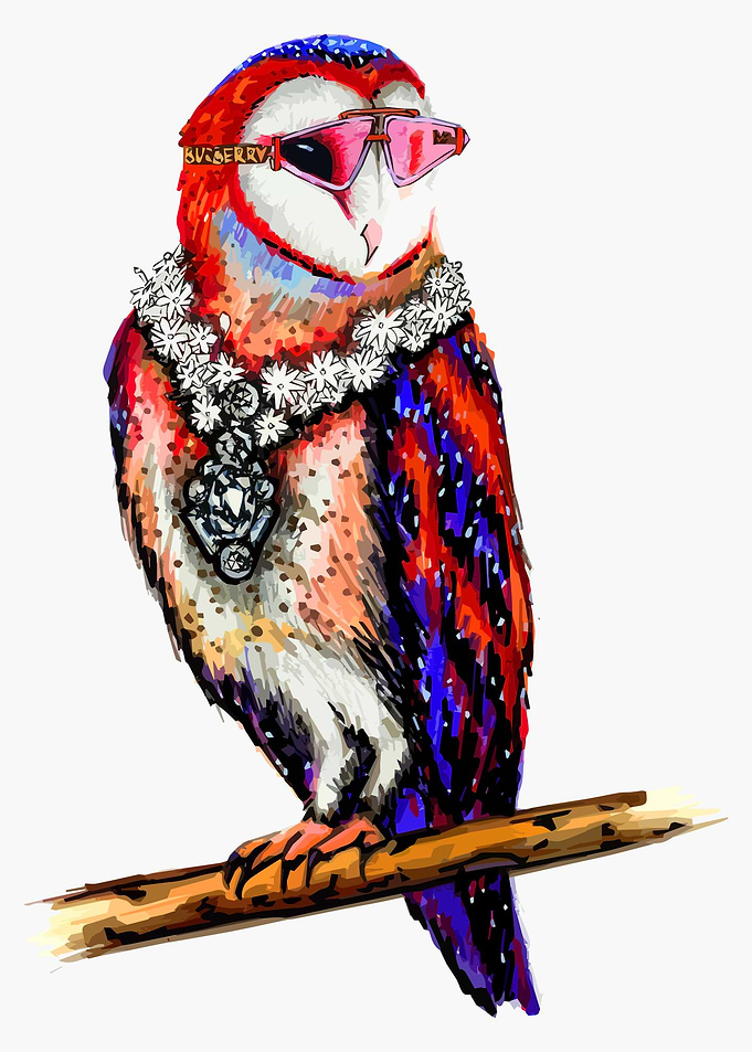 Fashion Owl Bird
