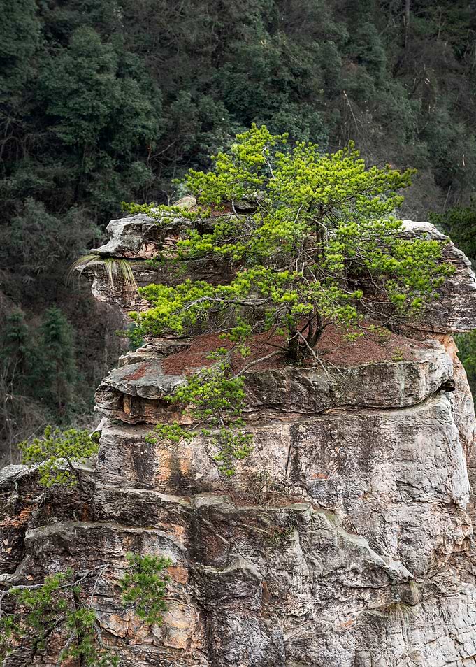 Zhangjiajie China