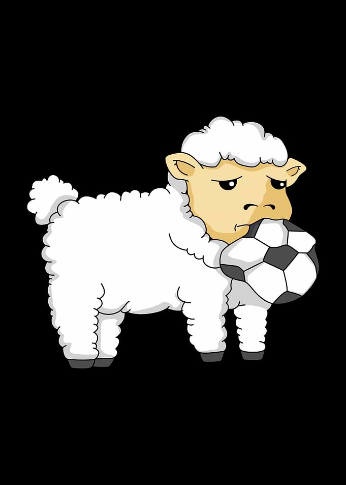 Sheep Soccer Ball Lamb
