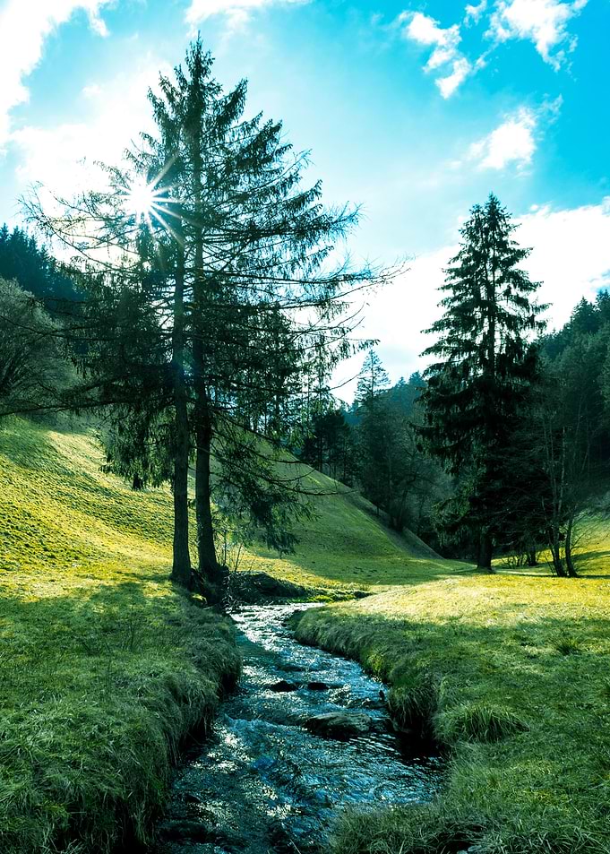 Green fields with brook