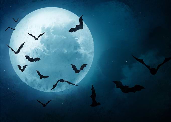 Hallooween