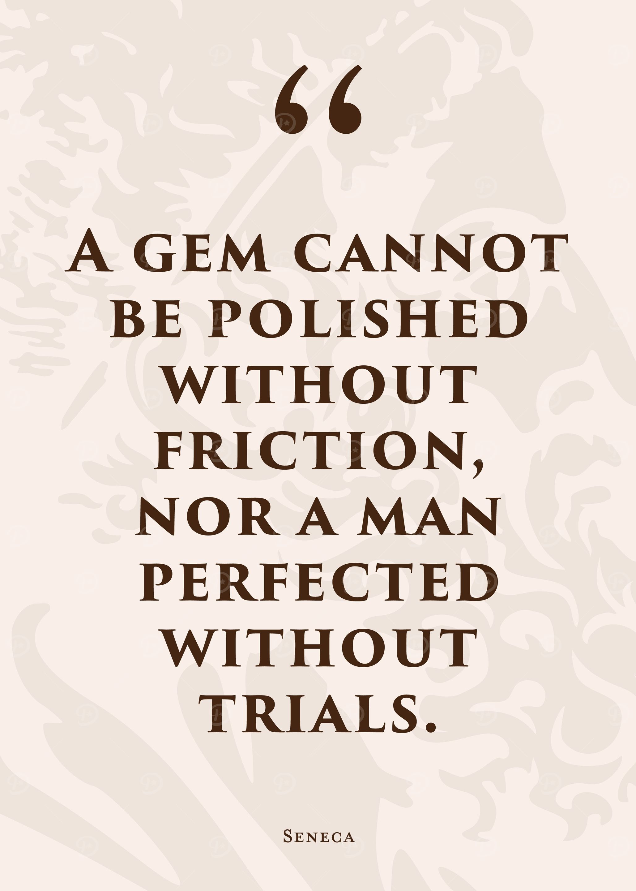 Stoic Quote 28