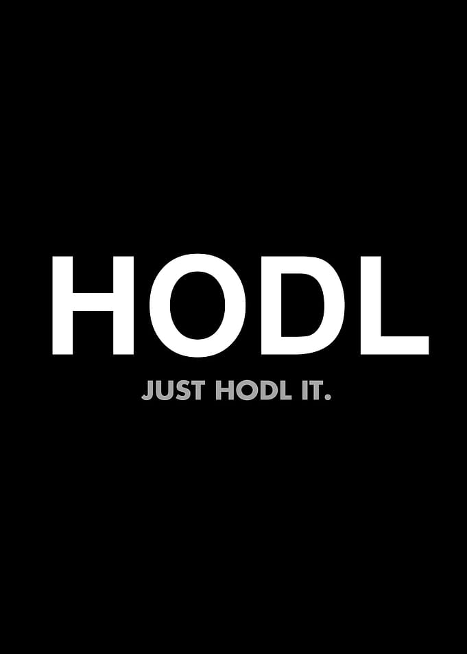 HODL Just hodl it