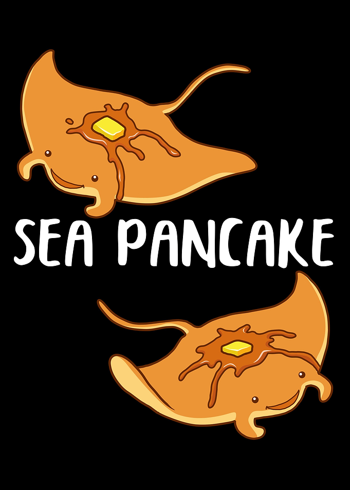 Sea Pancake