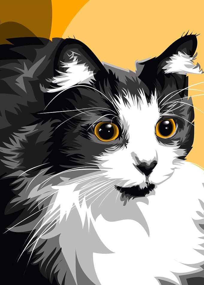 Black and White Cat Vexel