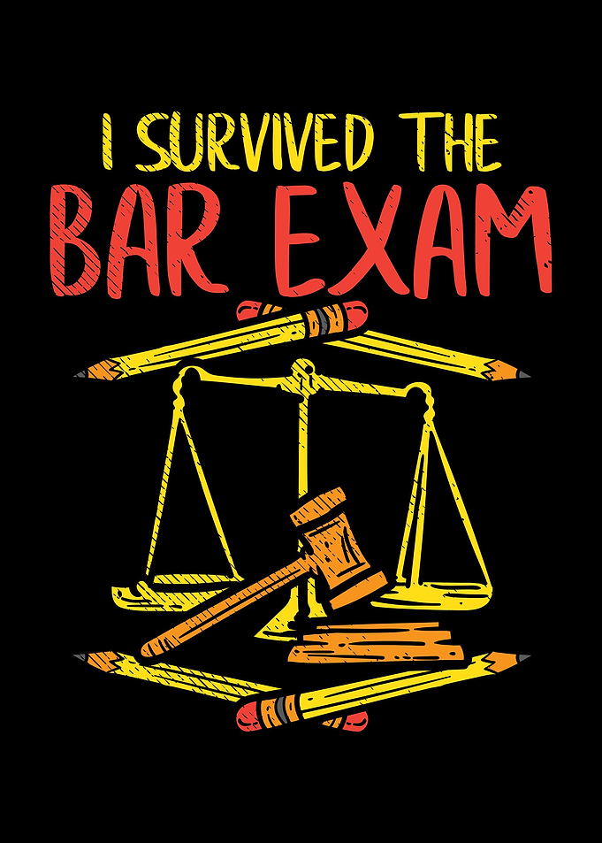 I Survived The Bar Exam