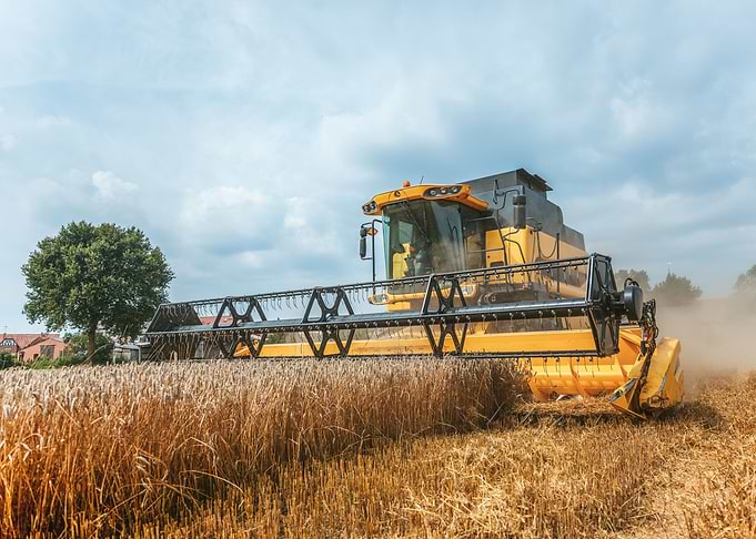 Yellow combine harvester