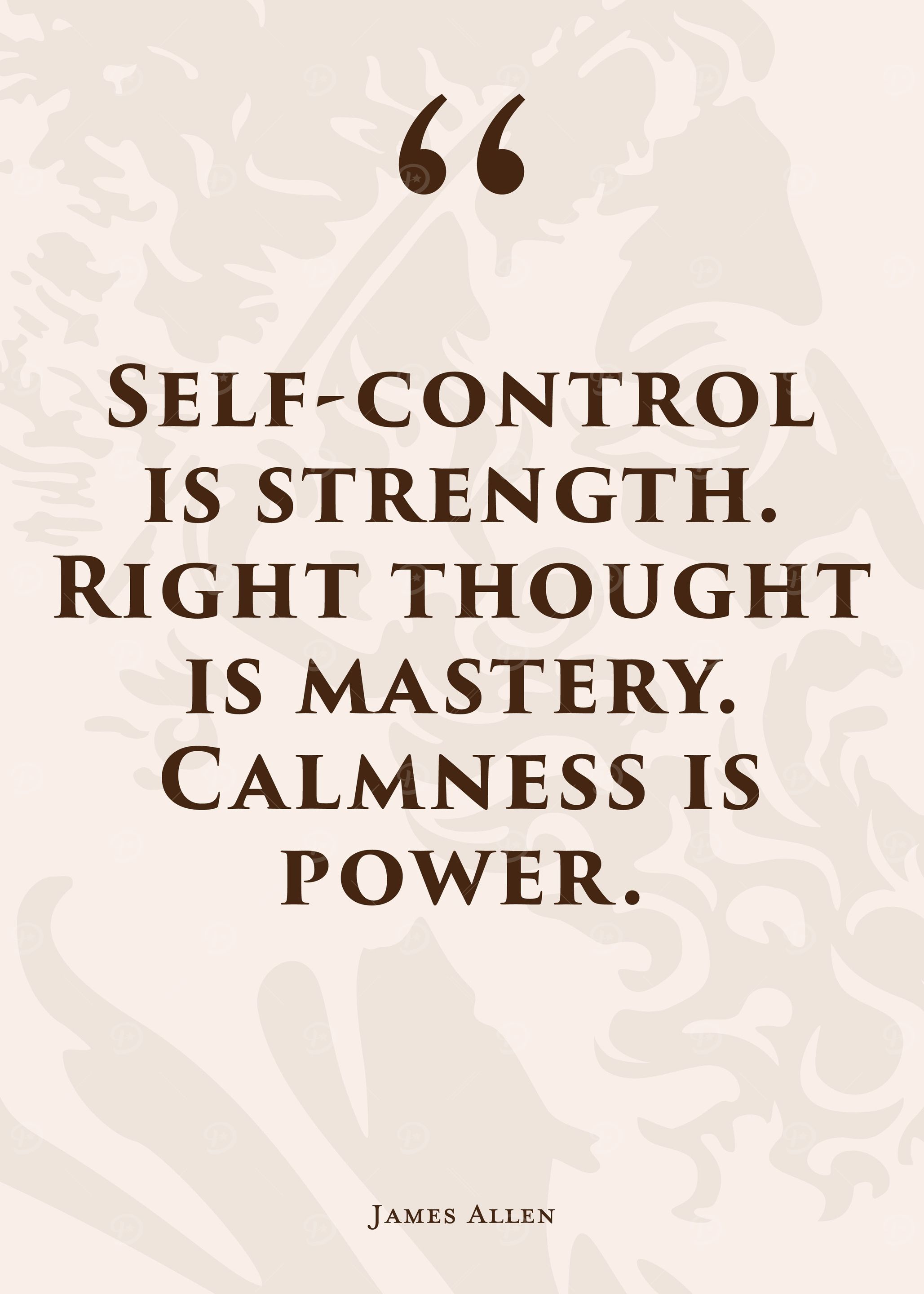 Stoic Quote 29