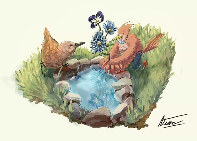 Garden Birds