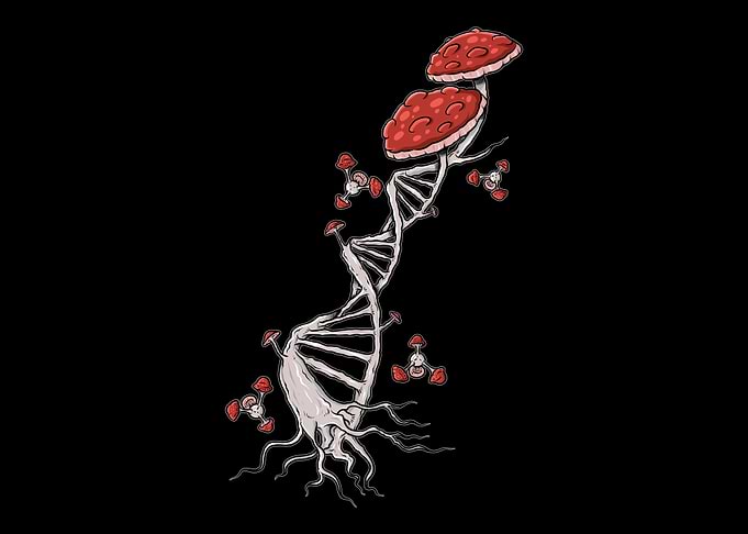 Mushrooms Dna Fungus Lover