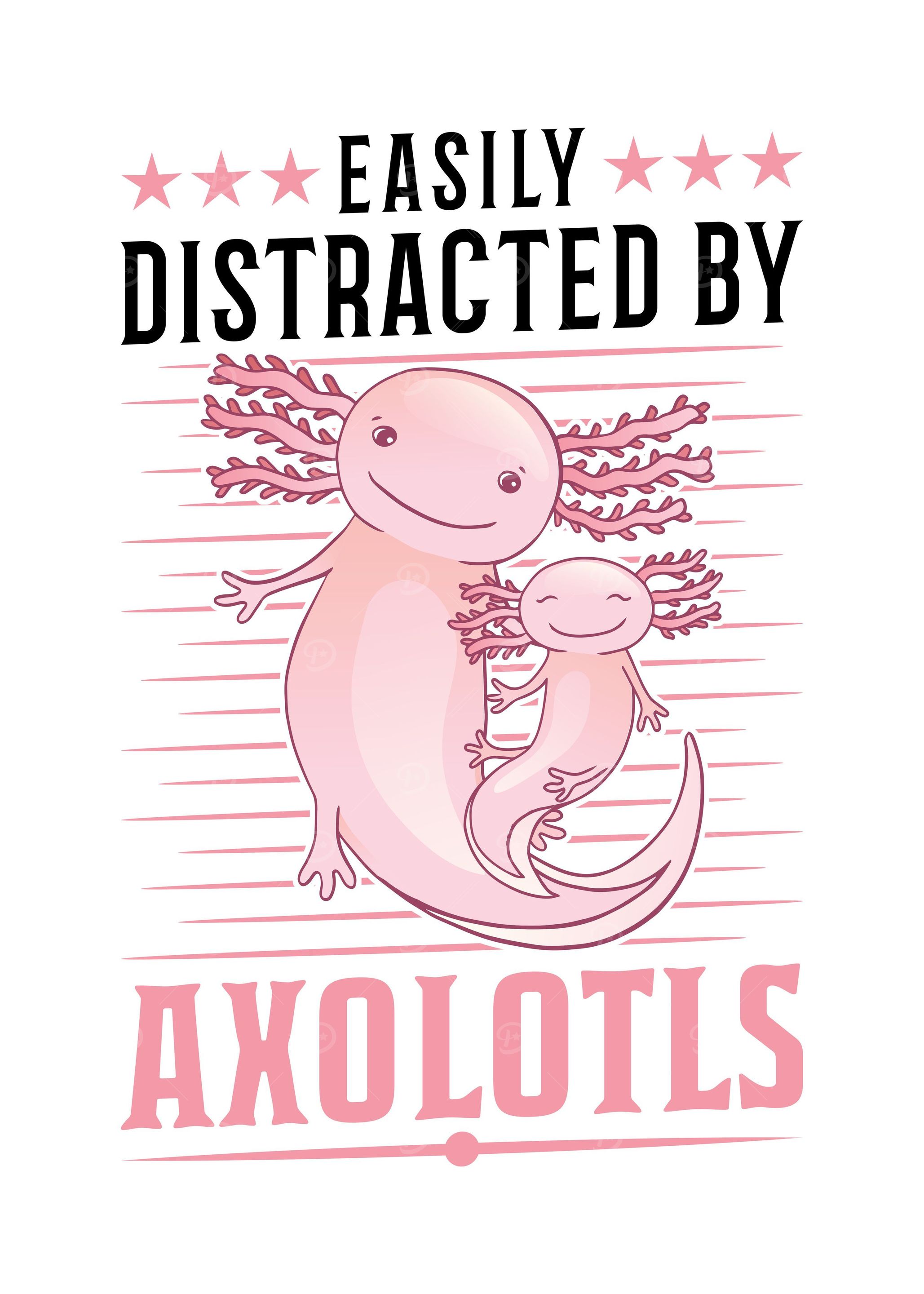 Axolotl Salamander